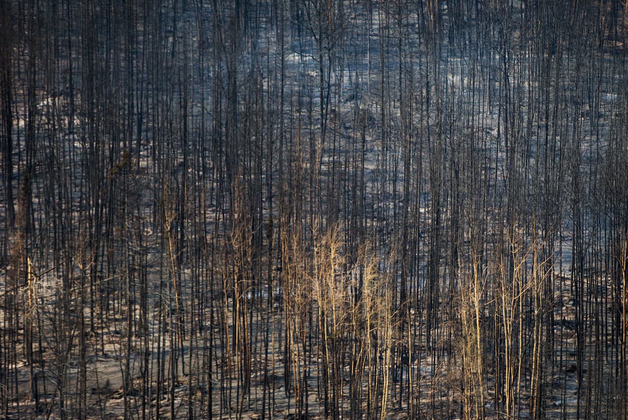 El Gobierno de Alberta tiene previsto reunirse el martes con las compañías de petróleo de la provincia, que es uno de los principales productores de crudo del mundo, para evaluar las consecuencias a medio y largo plazo para el sector.