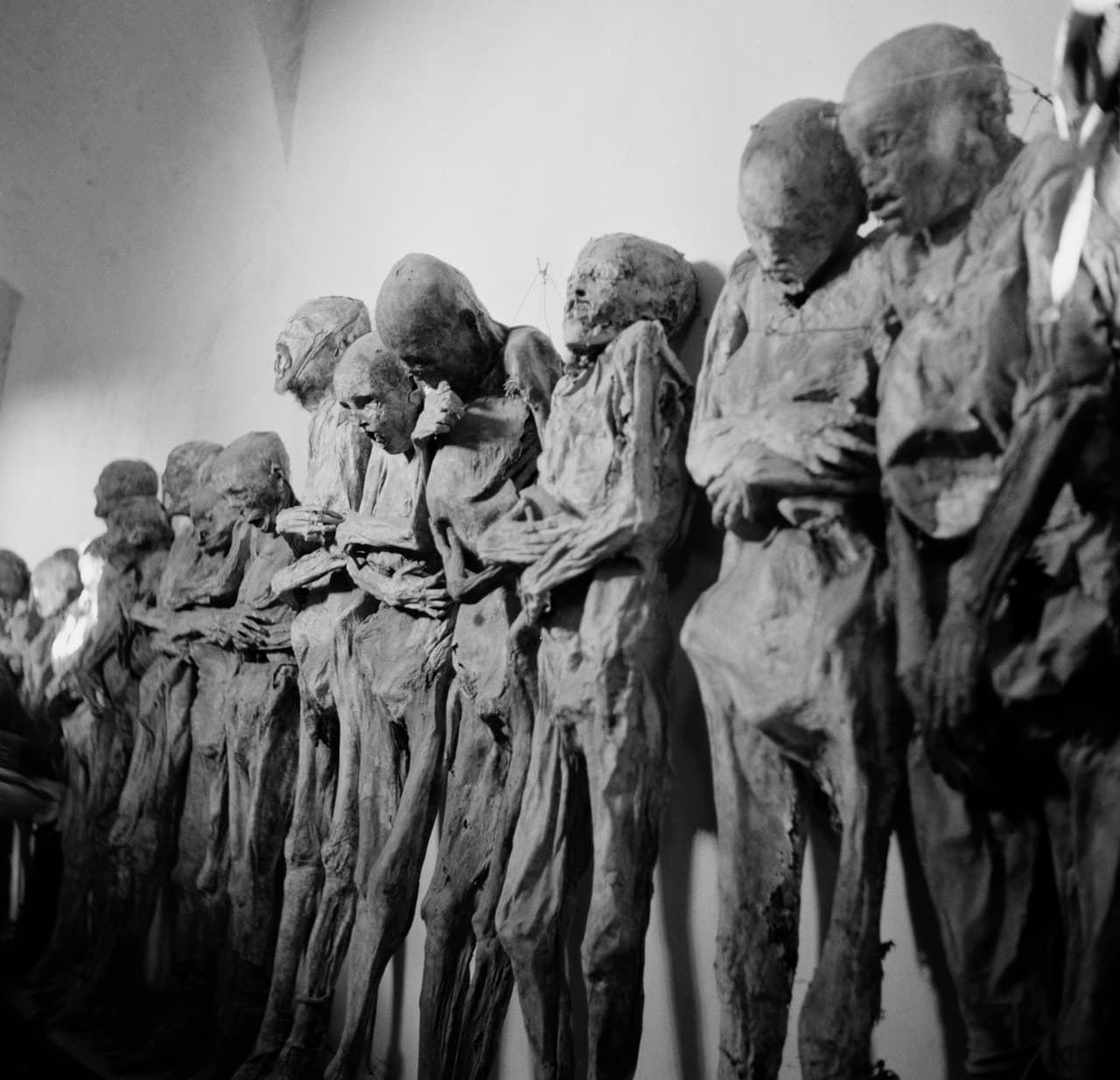 Fotografías de la mediateca del Instituto Nacional de Antropología e Historia de México (INAH), fechadas entre 1880 y 1890, muestran que en esa época al menos una veintena de cuerpos ya se hallaban en exhibición, aunque de manera informal. Esta fotografía fue tomada en 1952, 20 años antes del estreno de “El Santo contra las momias de Guanajuato”, la película protagonizada por el mítico luchador mexicano que lanzó a la fama a esta peculiar atracción.