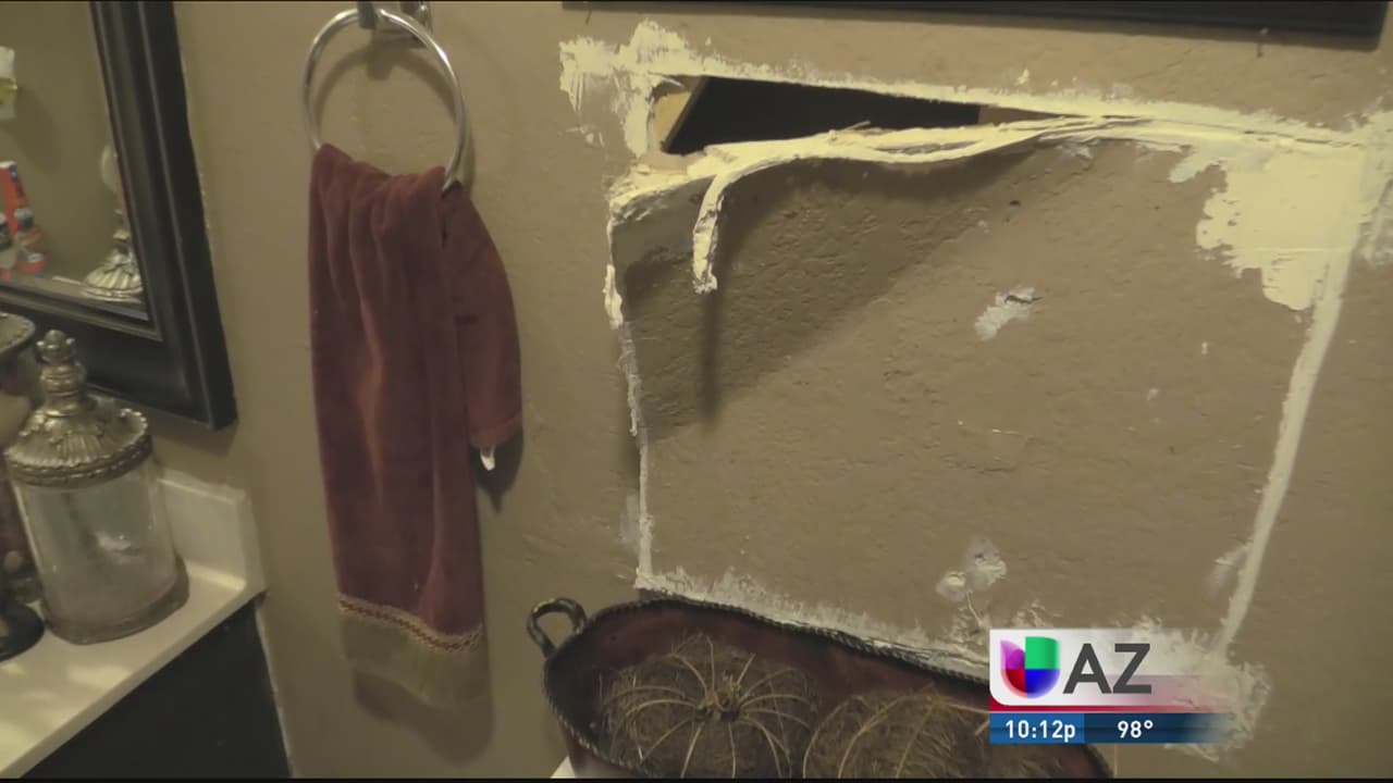 En Phoenix, rescatan a niño que vivía en un hogar infestado de ratas y cucarachas