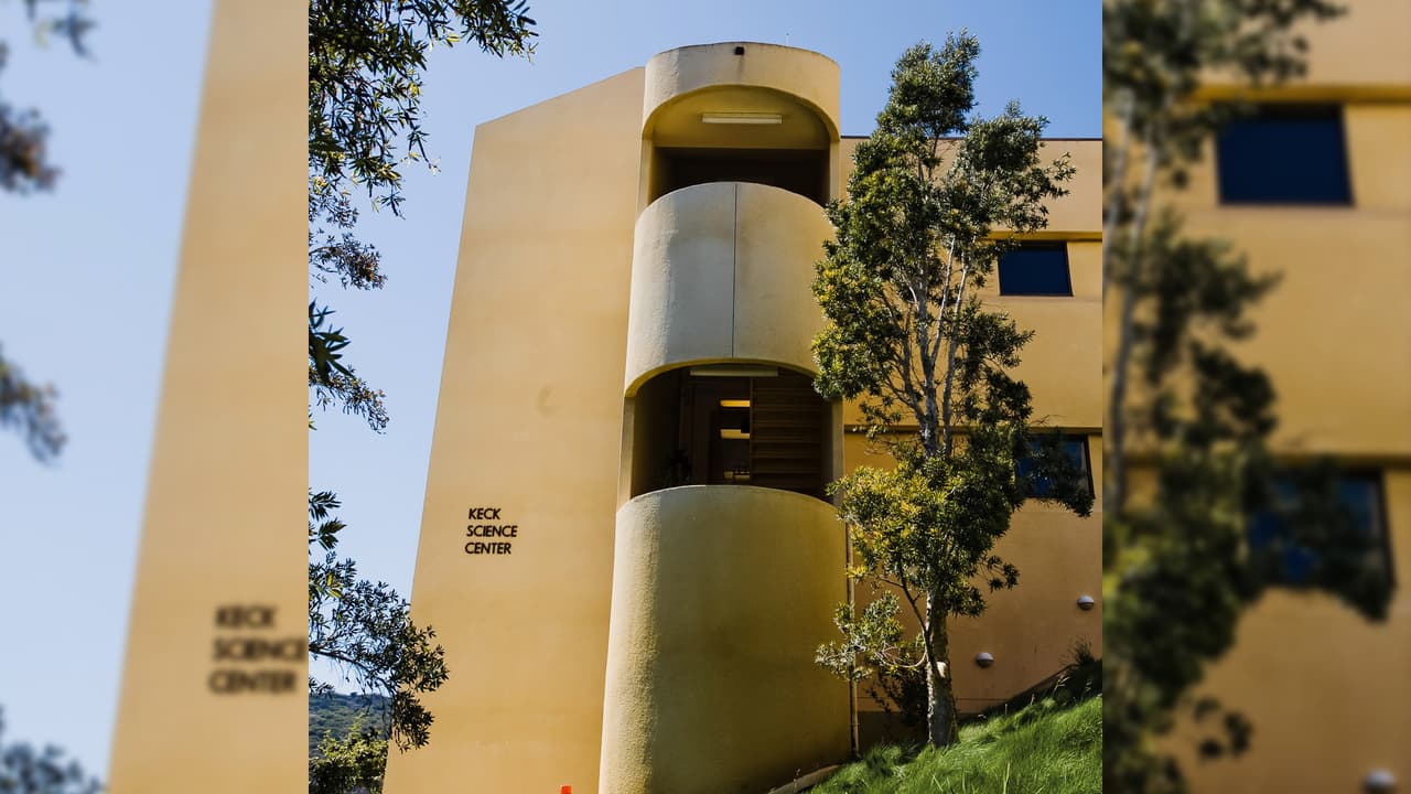 <b>Universidad de Pepperdine, </b>ubicada en Malibu, California.
<br>
<b>Ranking Nacional: <a href="https://www.usnews.com/best-colleges/ca?schoolType=national-universities" target="_blank">Nº49 en el ranking Nacional</a></b>
<br>
<b>Matrícula 21-22 y costos asociados: </b>$59,702
<br>
<b>Salario promedio al egresar: </b>$54,000