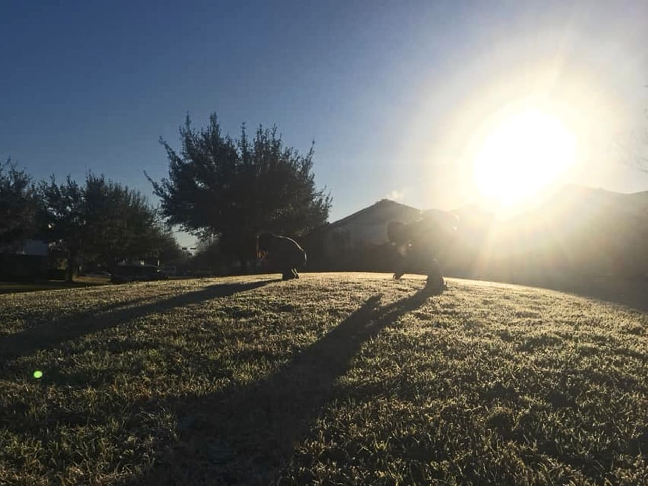 Dos pequeños buscan hojas congeladas antes de ir a la escuela. Imagen enviada por Amarillis Castellon.