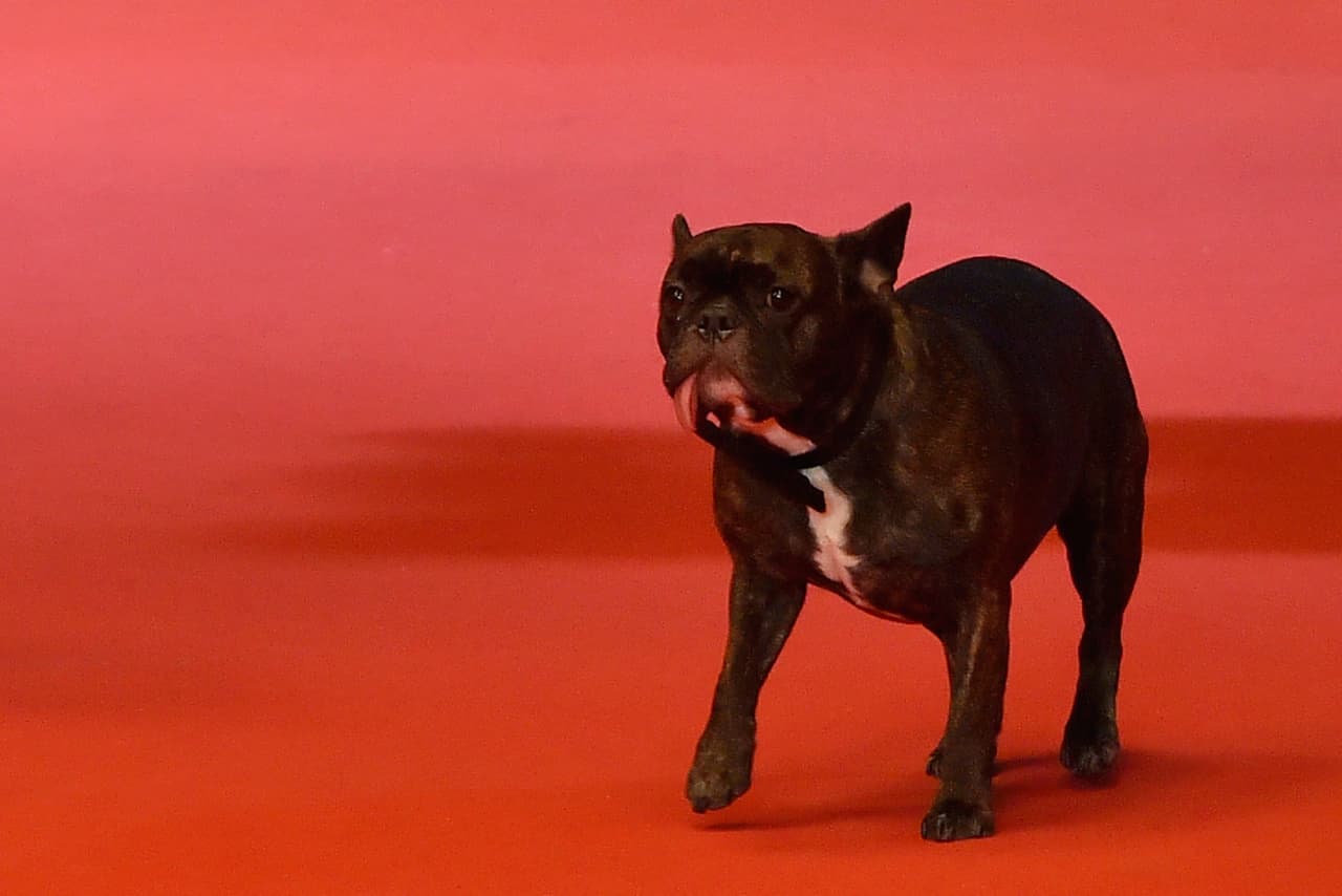 Gary pocas veces llevaba la lengua dentro de la boca. LOIC VENANCE/AFP/Getty Images