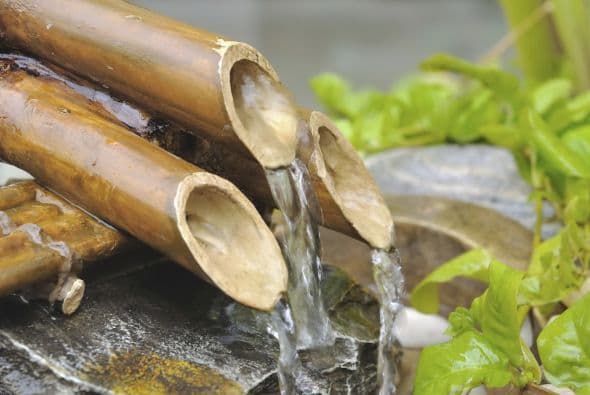 Por tu parte, no olvides colocar en tu jardín una fuente, bebedero o recipiente con agua.