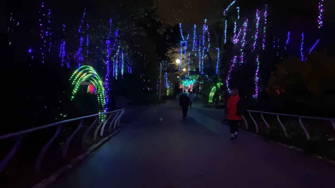 Las familias estarán inmersas en el brillo de toneladas de luces y pantallas gigantes al comienzo de su experiencia LumiNature.