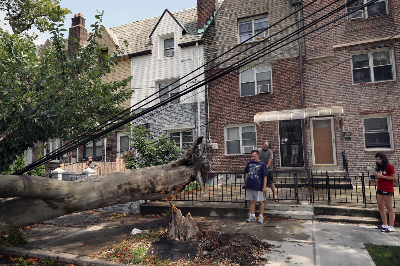 Árboles caídos debido a las fuertes ráfagas de viento provocados por el fenómeno natural
<b>bloquean una carretera en un vecindario de Brooklyn.</b>