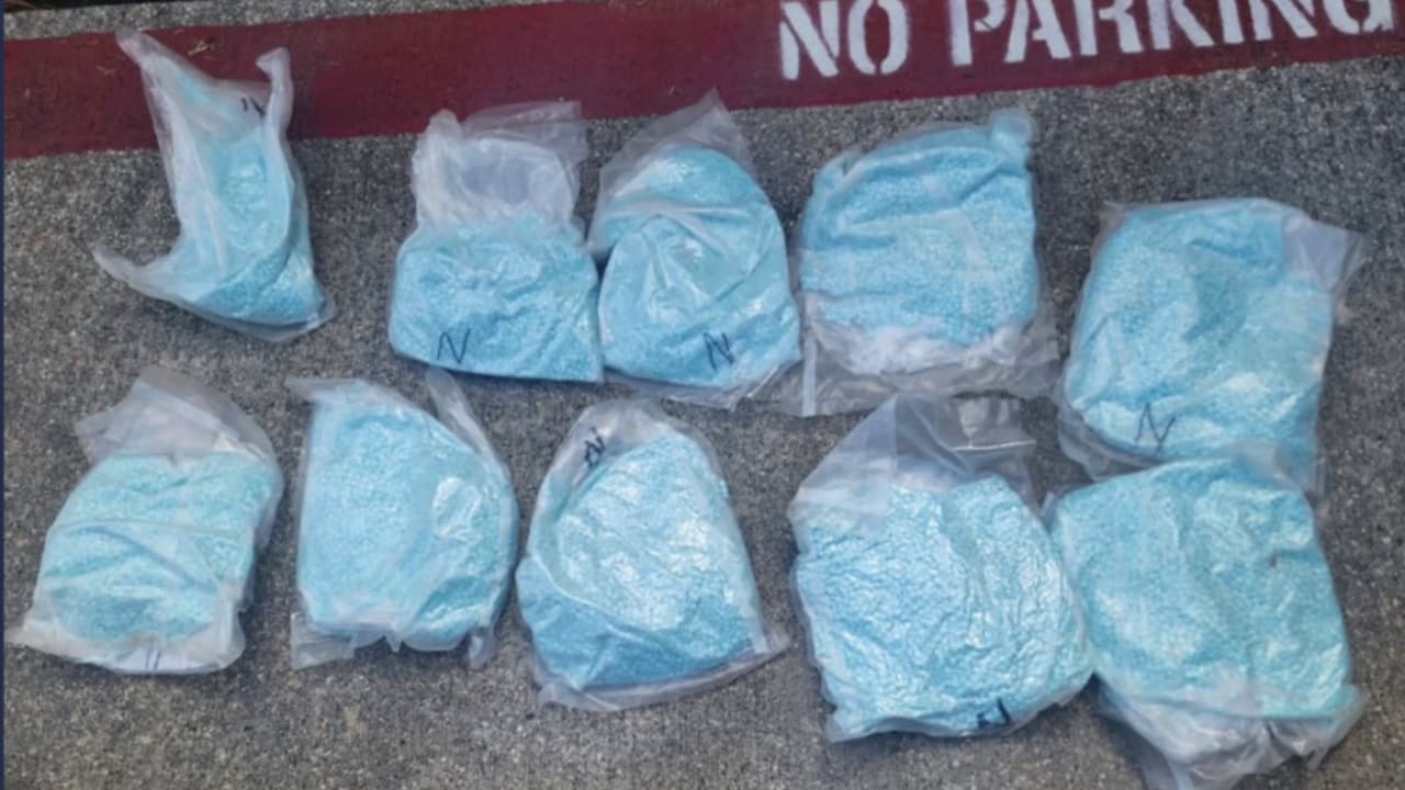 Policía de Houston incauta 100,000 pastillas de fentanilo en Galveston, más de 29,000 dosis mortales