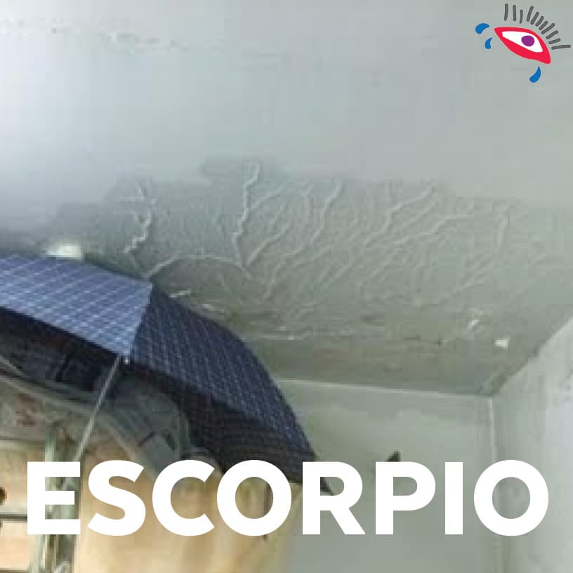 Habrá mucha humedad en tu casa.