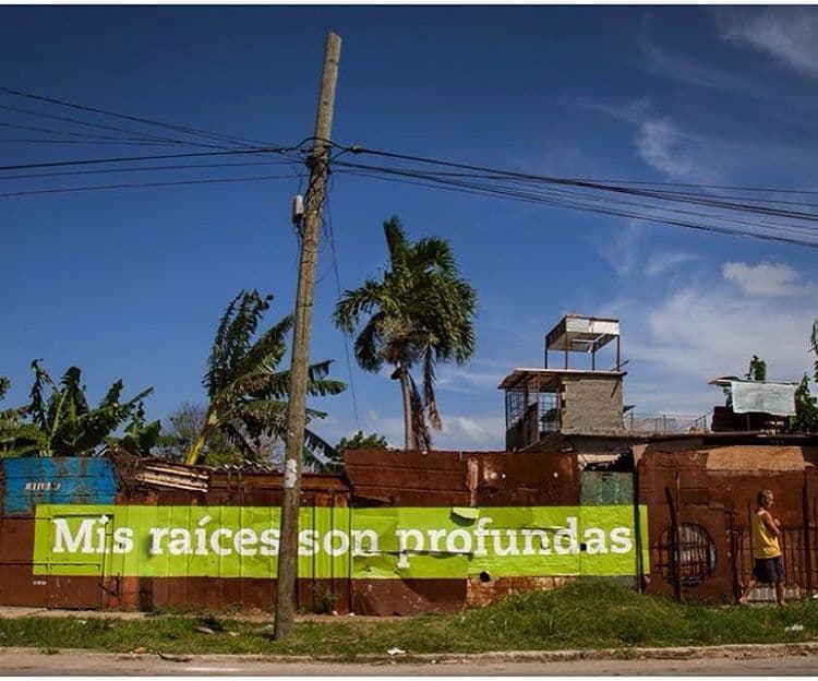 Una gran parte de su obra se desarrolla en América Latina. En 2015 
<a href="http://www.boamistura.com/mi-raiz-es-la-habana.html">embellecieron las calles del barrio El Romerillo de La Habana con versos del poema</a> 'No sé' de Samuel Feijoo. Eligieron 25 puntos distintos de la zona y pintaron un fragmento del poema en cada muro. "No hay otro poema como 'No sé' de Samuel Feijoo para expresar de una forma tan impactante las raíces del pueblo cubano. Agua, roca y sol definen un lugar y una pertenencia", explica el colectivo. 
<br>