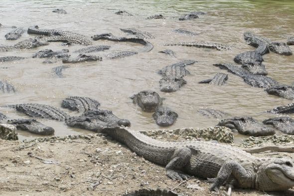 Esta fotografía parece sacada de una película de aventuras, ¿o no?
