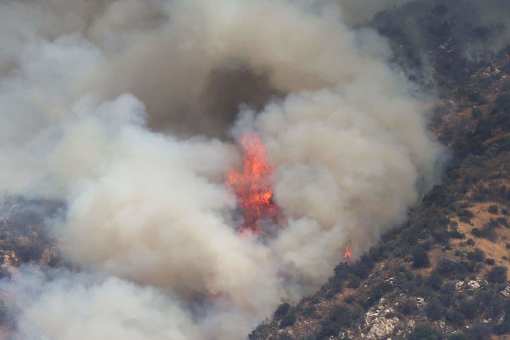 Con temperaturas superando los 90 grados Fahreinheit y el fuerte viento, los bomberos fueron divisando cómo las llamas ganaron terreno.