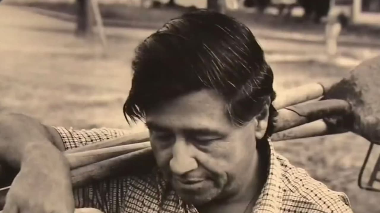 “No podían dormir ni confiar”: el trauma que dejó el caso César Chávez en las víctimas