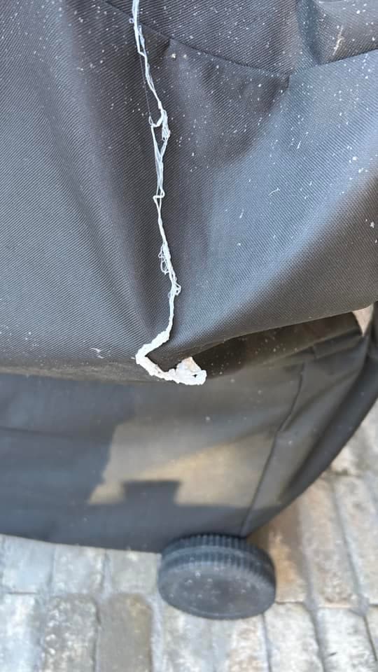 Los avistamientos de estas telarañas flotantes se han reportado en diferentes zonas de California.