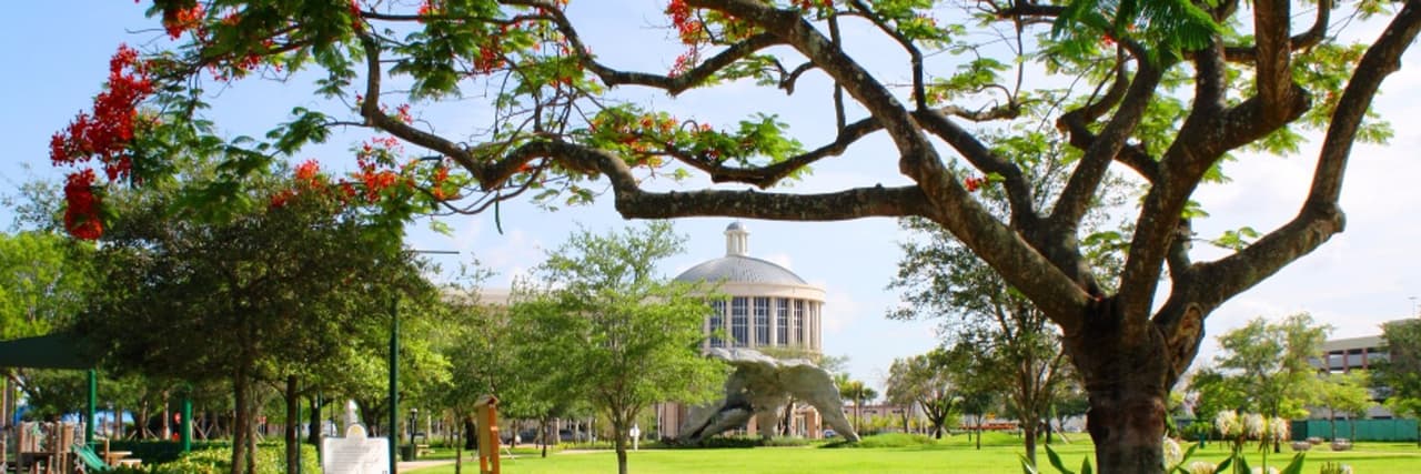 En la ciudad de Doral se hará el espectáculo desde las 9:20 pm, pero únicamente con transmisión en línea.