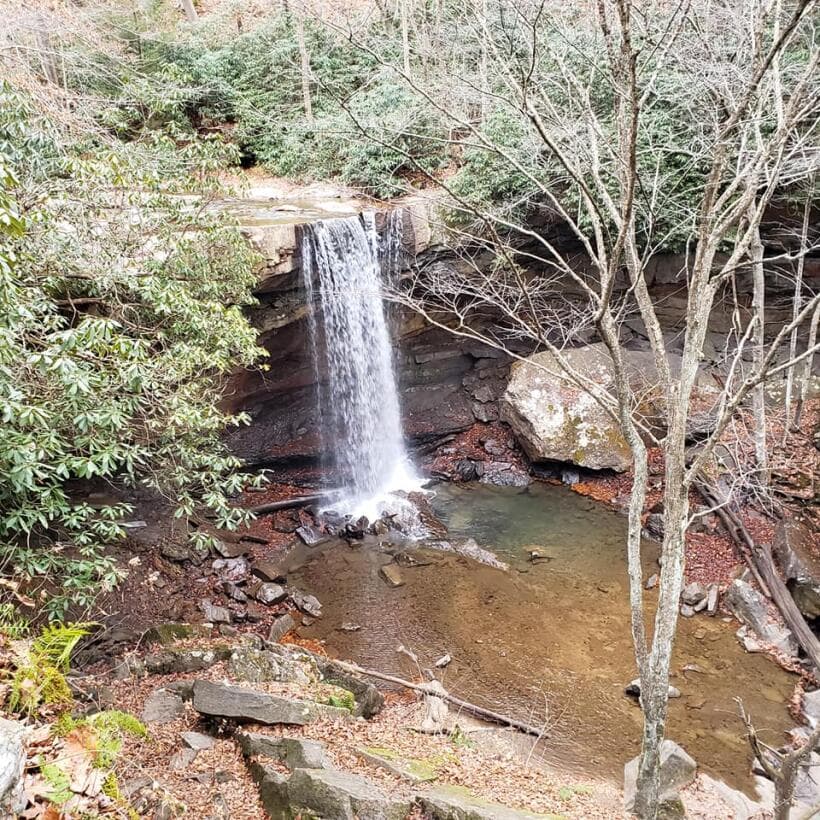 <b>Idea 4: Conozcan un destino nuevo</b>. Georgia es mucho, pero mucho más que el área Filadelfia, cuenta con innumerables atracciones naturales consideradas “
<b><a href="https://www.univision.com/local/philadelphia-wuvp/cucumber-falls-joyas-ocultas-de-pensilvania-fotos">joyas ocultas</a></b>” y otras incluso catalogadas como “extrañas” que podrían ver junto a papá.