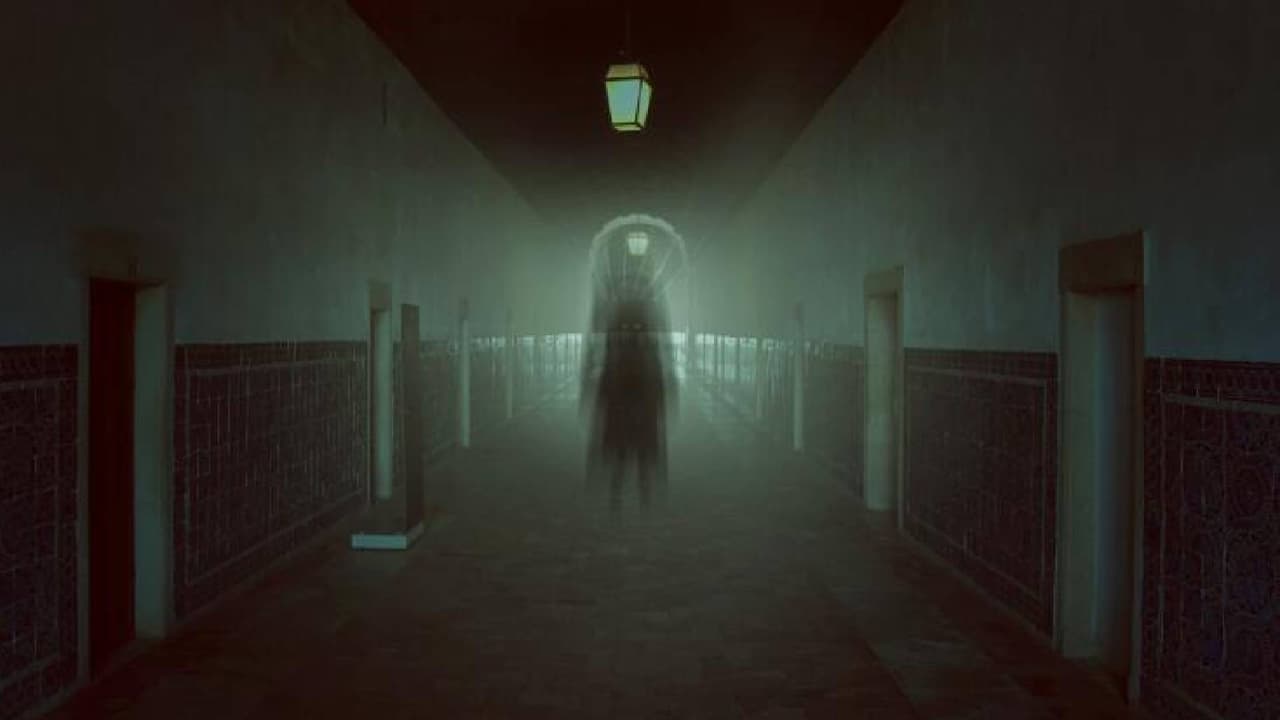 <b>El botones fantasma</b>
<br>Numerosos huéspedes del hotel han reportado que alguien llama a su puerta y con una voz apagada anuncia "servicio a la habitación", pero cuando abren la puerta, no hay nadie presente. Otros han visto a un botones con un abrigo rojo antiguo con botones de latón parado afuera de la
<b> habitación 210.</b> o caminando por los pasillos.