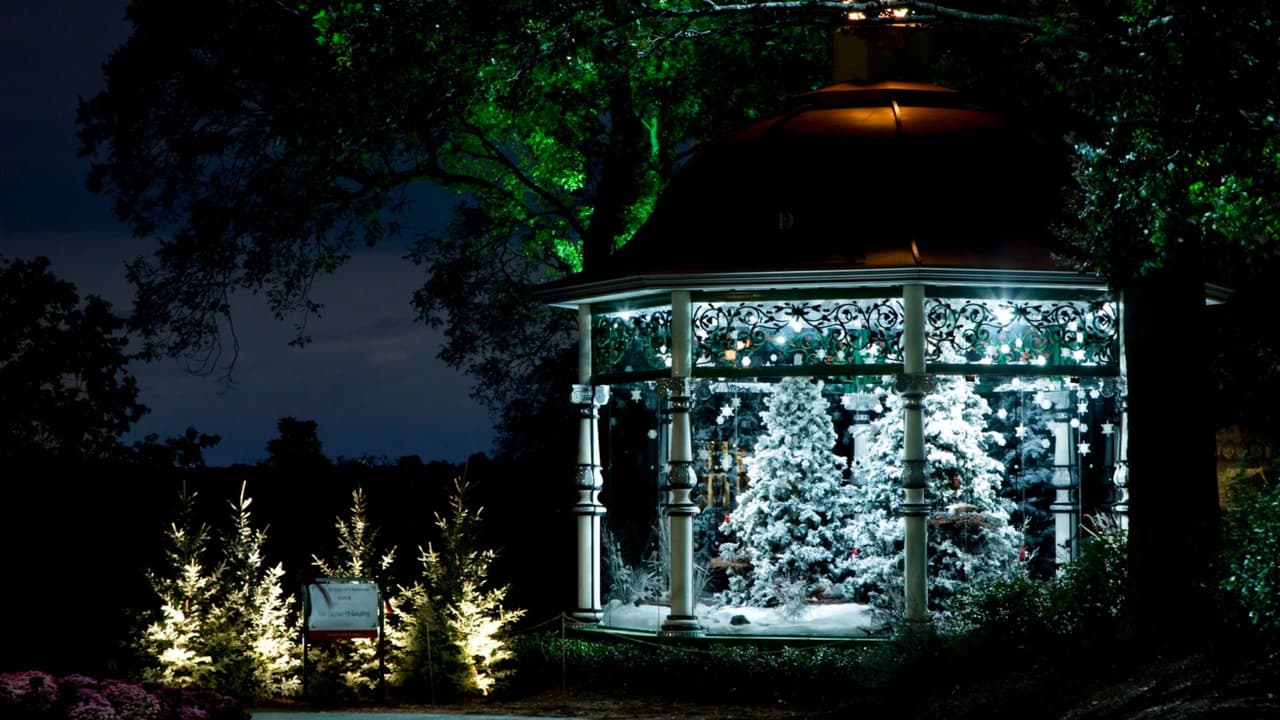 <b>Holiday at the Arboretum </b>ofrece una experiencia mágica que incluye 
<b>un impresionante árbol de 50 pies de altura que toca villancicos con más de 42,000 luces</b>, y el encantador “Christmas Village” con su pirámide de madera de 23 pies. Santas, ángeles, nacimientos y 
<b>una colección de aproximadamente 600 cascanueces</b>. ¡Sumérgete en la magia navideña en este espectacular evento!
<br>💰
<b> Durante el día:</b> $20 para adultos, $16 para adultos mayores de 65 años, $12 para niños de 2 a 12 años, y entrada gratuita para menores de 2 años. 
<b>El precio aumenta en las noches.</b>
<br>⏰ Hasta el 5 de enero, 
<b>de 9 a.m. a 5 p.m</b>., algunas noches de 6 a 10 p.m.
<br>📍 
<a href="https://maps.app.goo.gl/yhUEcBFVYF14y3XE6" target="_blank">8525 Garland Rd, Dallas</a>