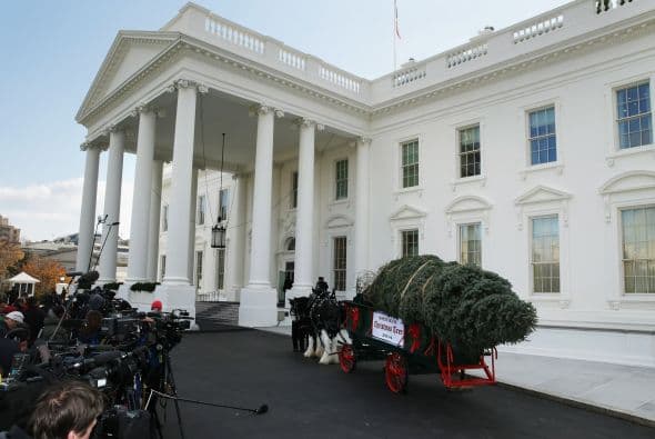 Dentro de las decoraciones más alabadas con el árbol y las réplicas Bo y Sunny.
