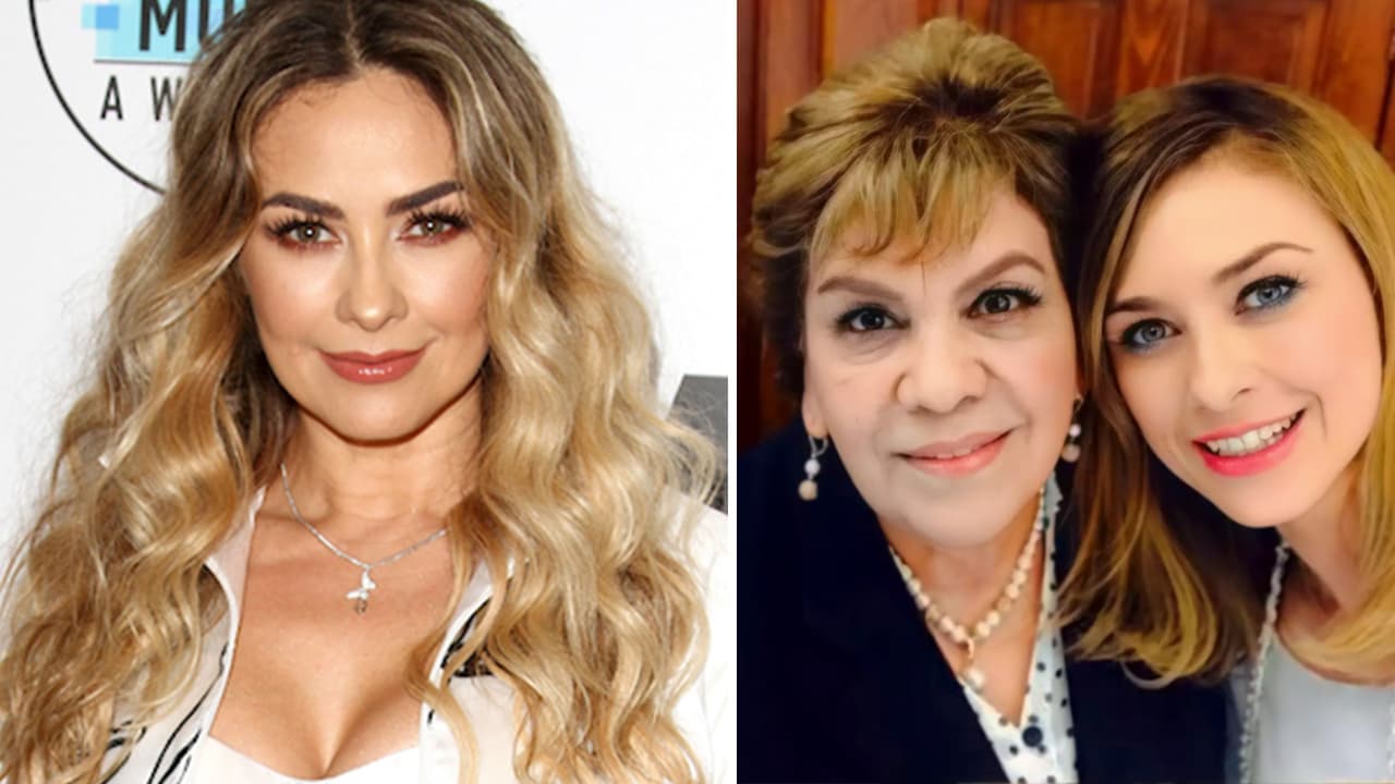 Aracely Arámbula reaparece en un video tras la muerte de su mamá: "Duele mucho el corazón"