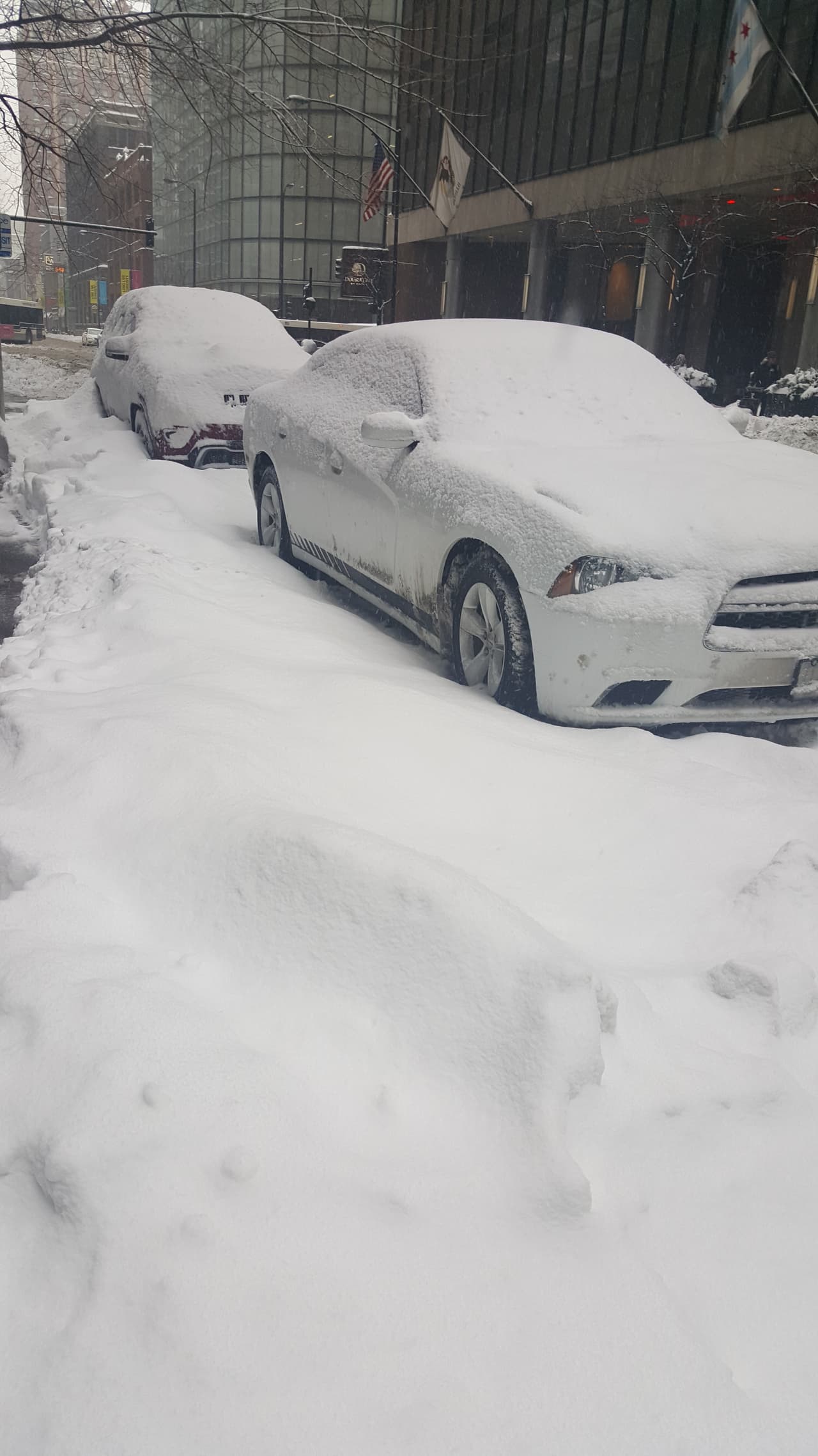 Según el Servicio Nacional de Meteorología en Belvidere cayeron 9 pulgadas de nieve, en Genoa 7.3, en Woodstock 6.2 pulgadas y en Lemont 6 pulgadas. Las áreas al norte de la autopista I-80 podrían ver de 6 a 10 pulgadas.