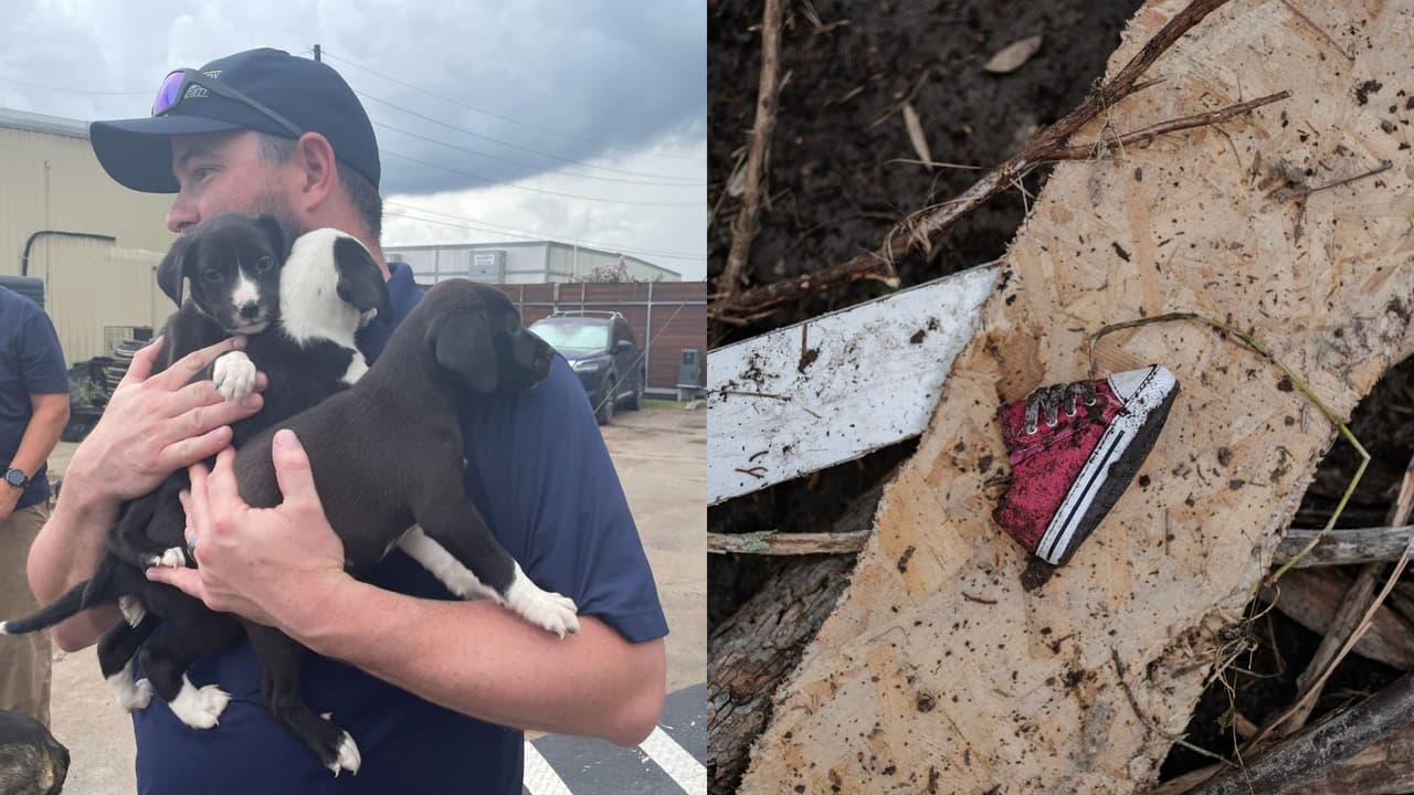 Sociedad Protectora de Animales de Houston rescata a 26 cachorros afectados por las inundaciones en Kerr