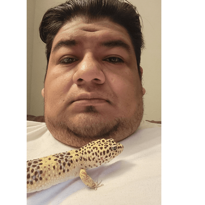 Rocko es un leopard gecko de 3 añitos.