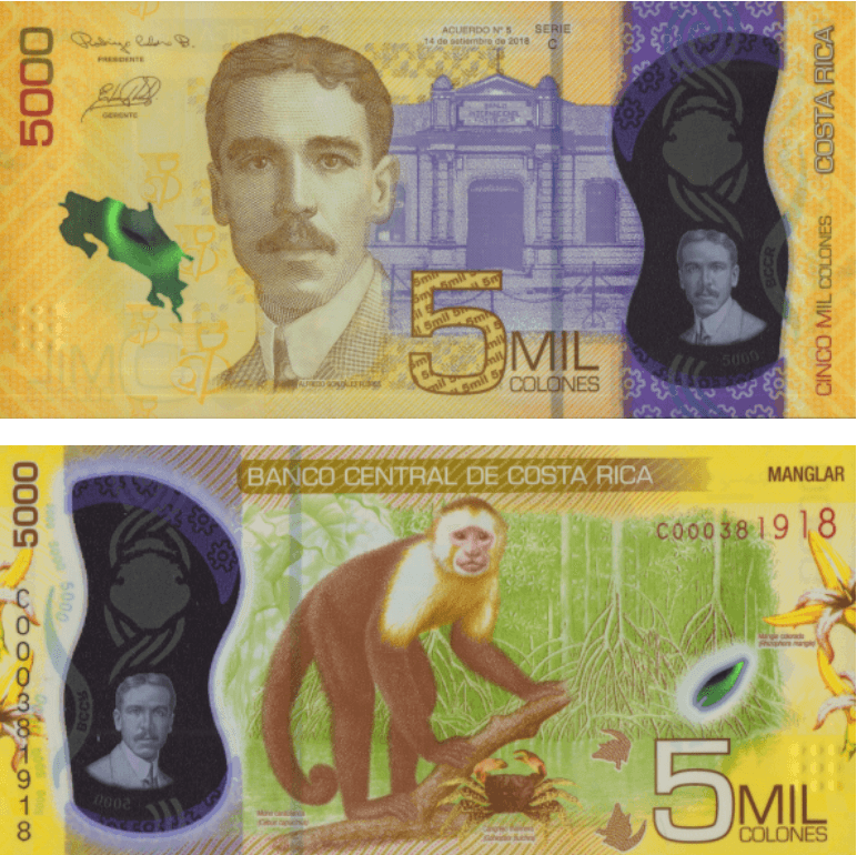 <h3 class="cms-H3-H3">20. Costa Rica (5,000 Colones)</h3>
<br>
<br>Con un amarillo llamativo, el billete muestra en su parte frontal 
<a href="https://www.theibns.org/joomla/index.php?option=com_content&view=article&id=801&catid=13&Itemid=51" target="_blank">el mapa del país, la imagen de Alfredo González Flores y el Edificio del Banco Internacional. </a>
<br>
<br>En la parte trasera se puede observar un manglar, flores, un cangrejo, un mono y caimanes. 
<br>