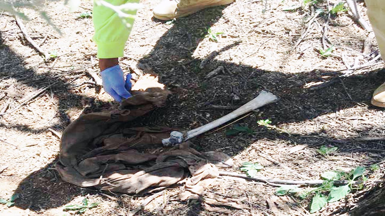Voluntarios toman fotos de los restos encontrados, todo debe dejarse como se encontró para que las autoridades del condado hagan el levantamiento.