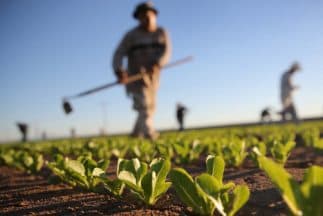 Informe posiciona a América Latina y el Caribe como la próxima despensa global