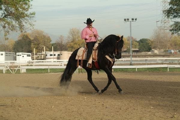 El cantante tiene 'caballos bailadores' que dejan sorprendidos a quienes los ven.
