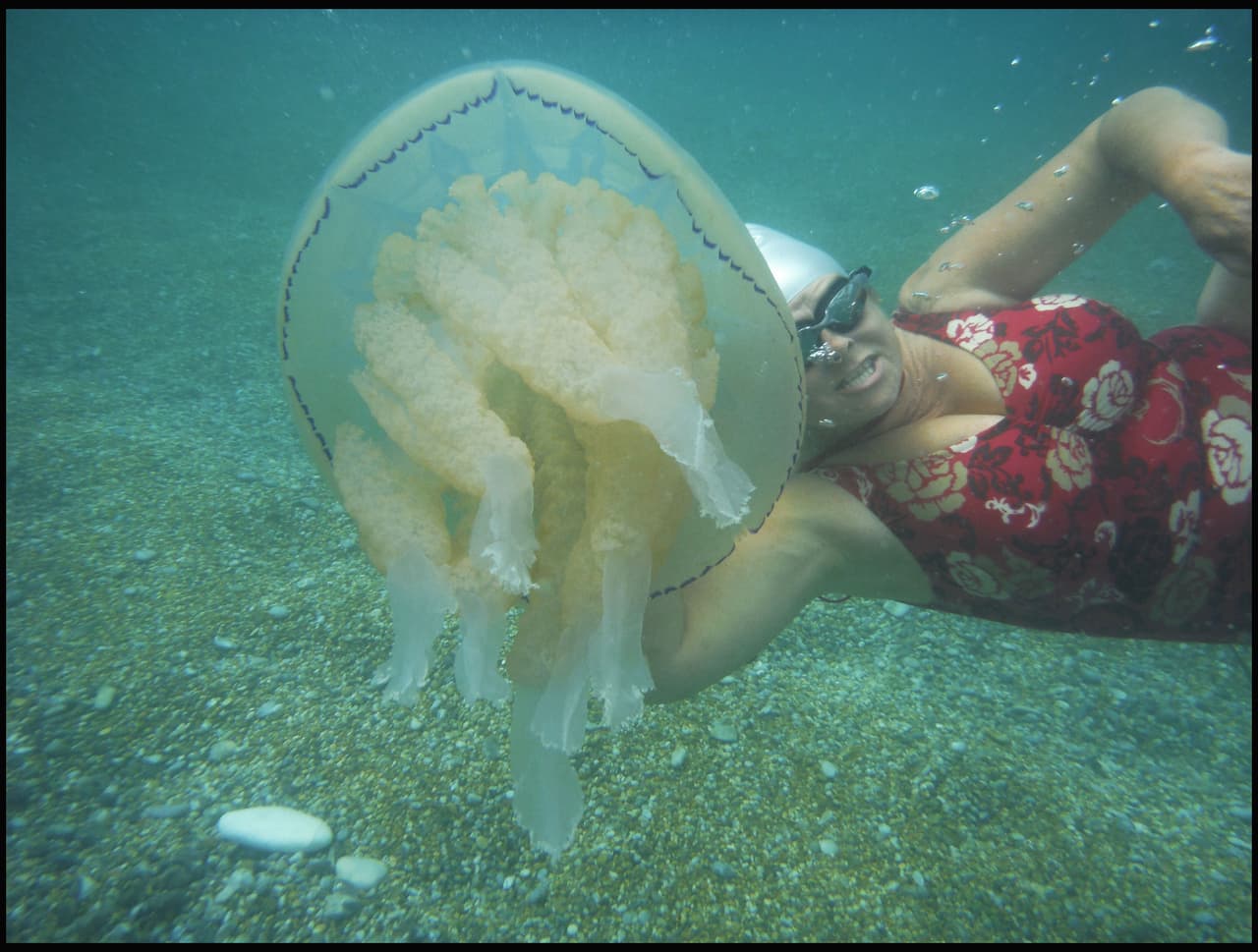 Esta mujer es muy valiente porque no sólo nadó con una medusa, ¡además se tomó una selfie!