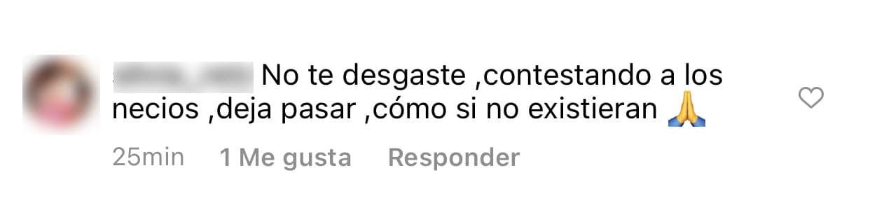 En otra publicación que hizo minutos antes, una seguidora le sugirió que no se "desgastara" en 
<b><a href="https://www.instagram.com/p/CRCPYGnlwzo/" target="_blank">contestar a los "necios". </a></b>
<br>