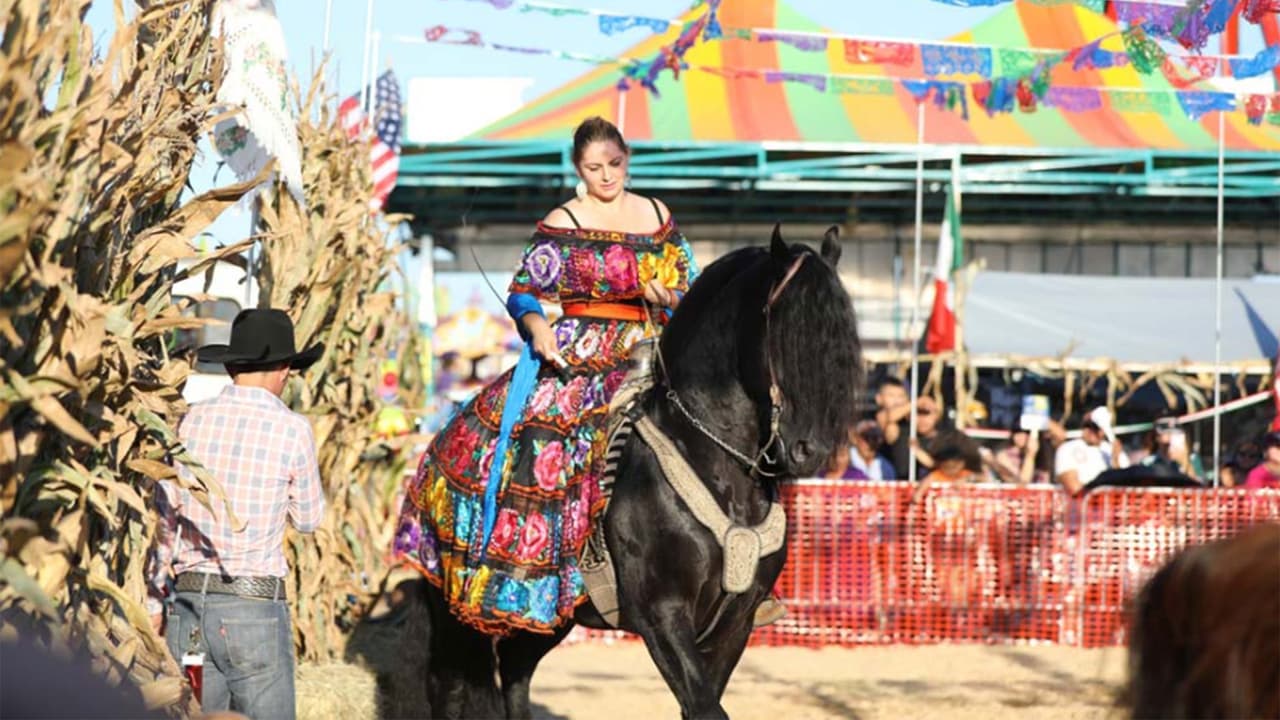 Los festejos 
<b>en Cicero comienzan este jueves 15 de septiembre </b>con el tradicional Grito de Independencia, en memoria del que diera el Cura Miguel Hidalgo en Guanajuato en 1810. 
<b>La conmemoración del Grito será a las 9 p.m</b>.