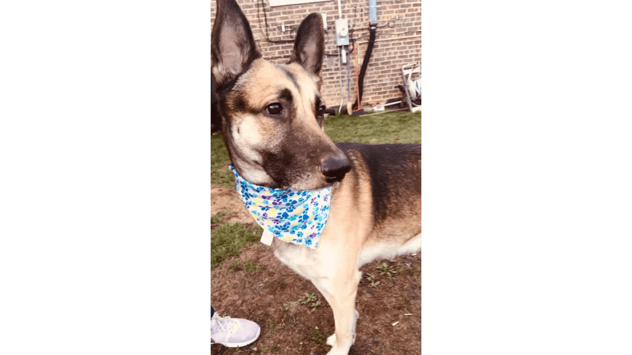 "El príncipe de la casa Kanelo".