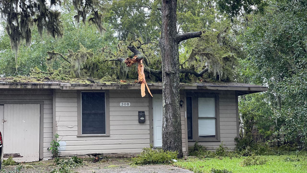 Piden a los conductores buscar vías alternas en caso de que un árbol o poste esté bloqueando la carretera.