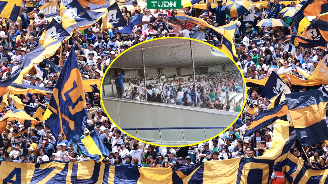 Afición de Pumas se suma a la fiebre del festejo vikingo del Mundial