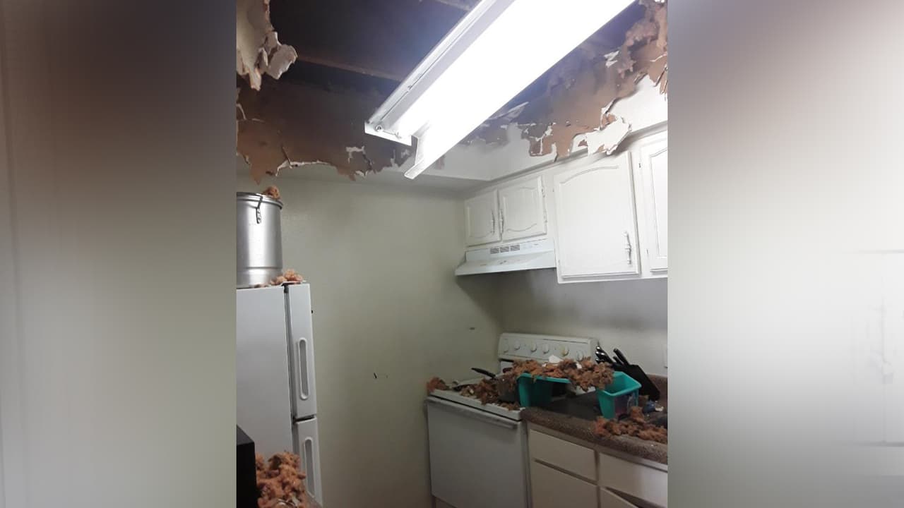 “Yo se que es el trabajo de los bomberos, pero el problema es que los dueños de los apartamentos no se han hecho responsables con nosotros”, indicó la mujer.
<br>