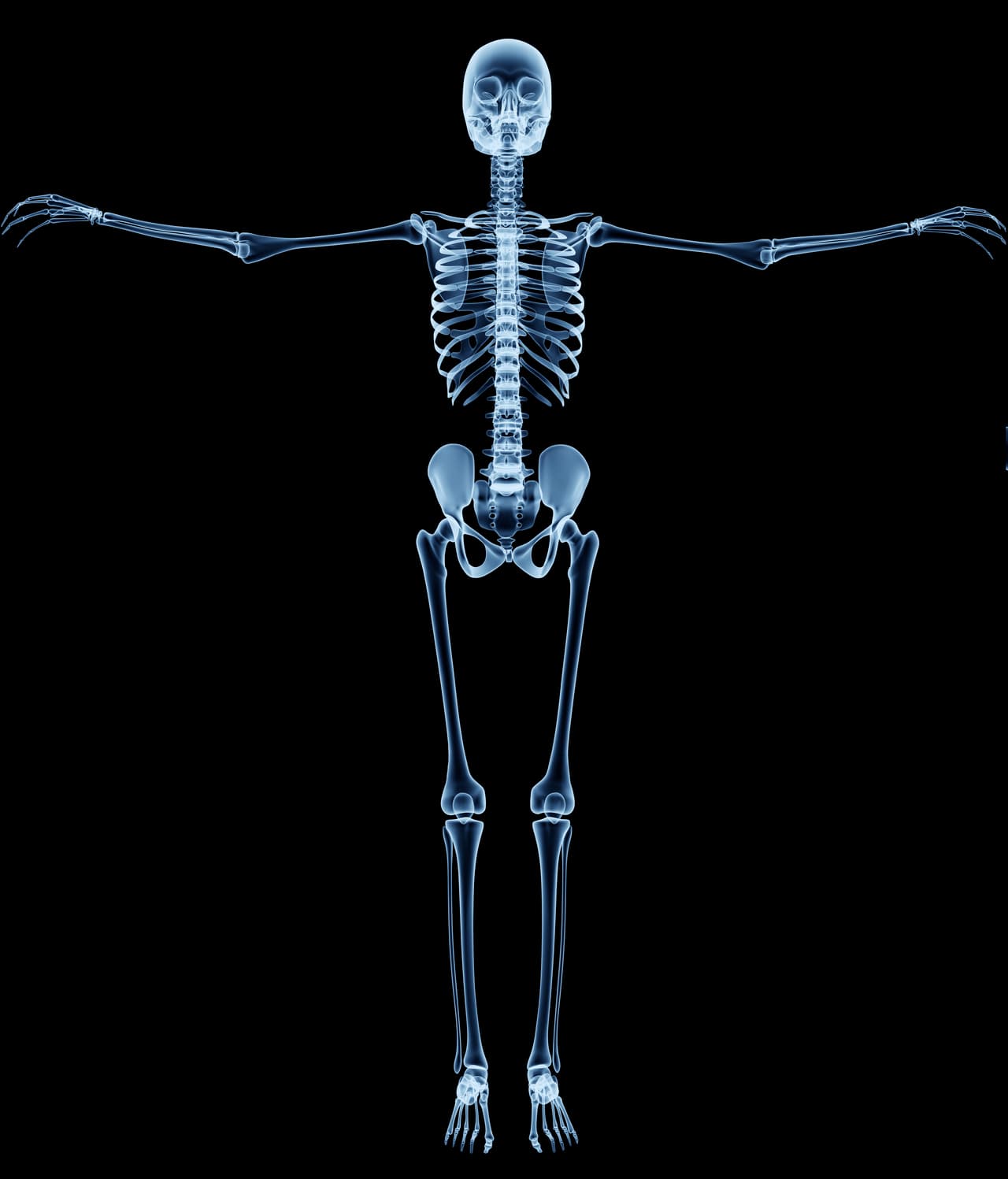 Todo lo que tiene relación con los huesos y el esqueleto, así como los padecimientos asociados a la osteoporosis y artritis, las fracturas y luxaciones, la caries dentaria y los problemas que tienen que ver con la rodilla, el líquido sinovial y las articulaciones en este signo del elemento tierra.