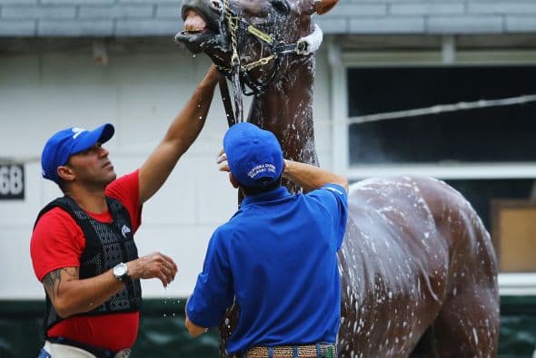 Sin tener 'sangre azul' en sus venas, y siendo hijo de padres mediocres en las pista, Chrome está a punto de hacer leyenda.