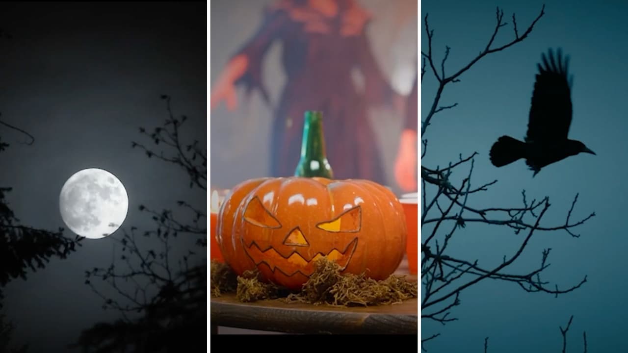 Halloween: de ritual celta a fiesta popular