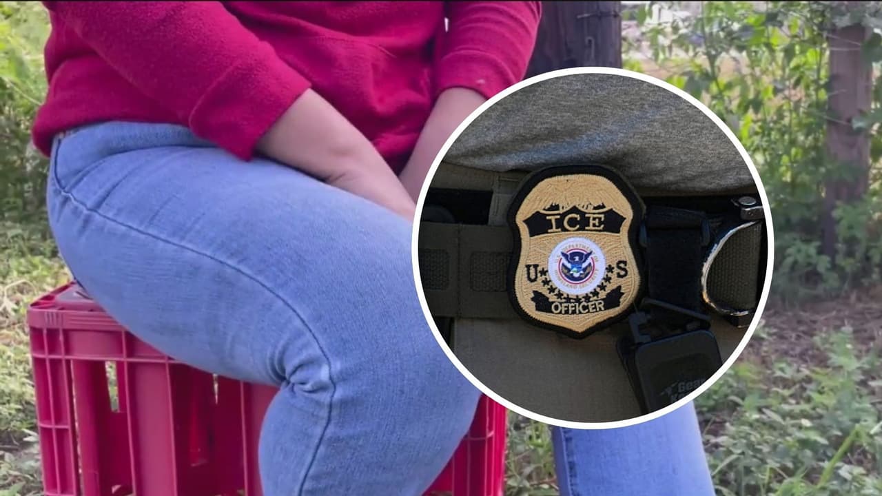 “Mami, esto ya no es vida”: Temor a redadas cambia la vida de inmigrantes en Wimauma
