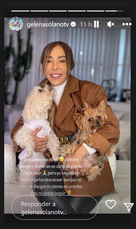 "Ya es tiempo de continuar y de 
<b>brindarle amor a otro canino </b>para llenar un poco el espacio y la tristeza que nos dejaste", confesó. 
<br>