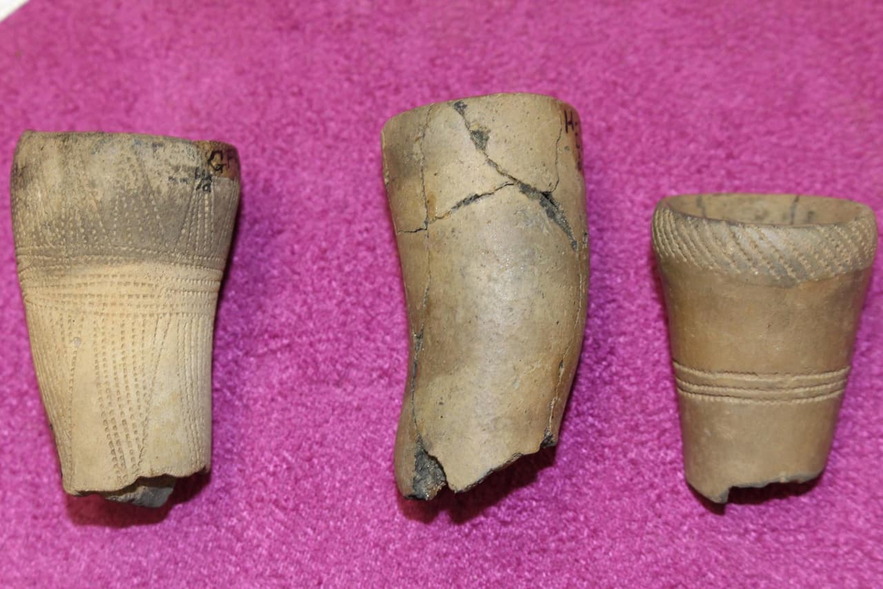 El parque abarca importantes sitios arqueológicos de nativos americanos y se han investigado varios. También quedan varias estructuras de los primeros asentamientos holandeses y del período de contacto colonial.