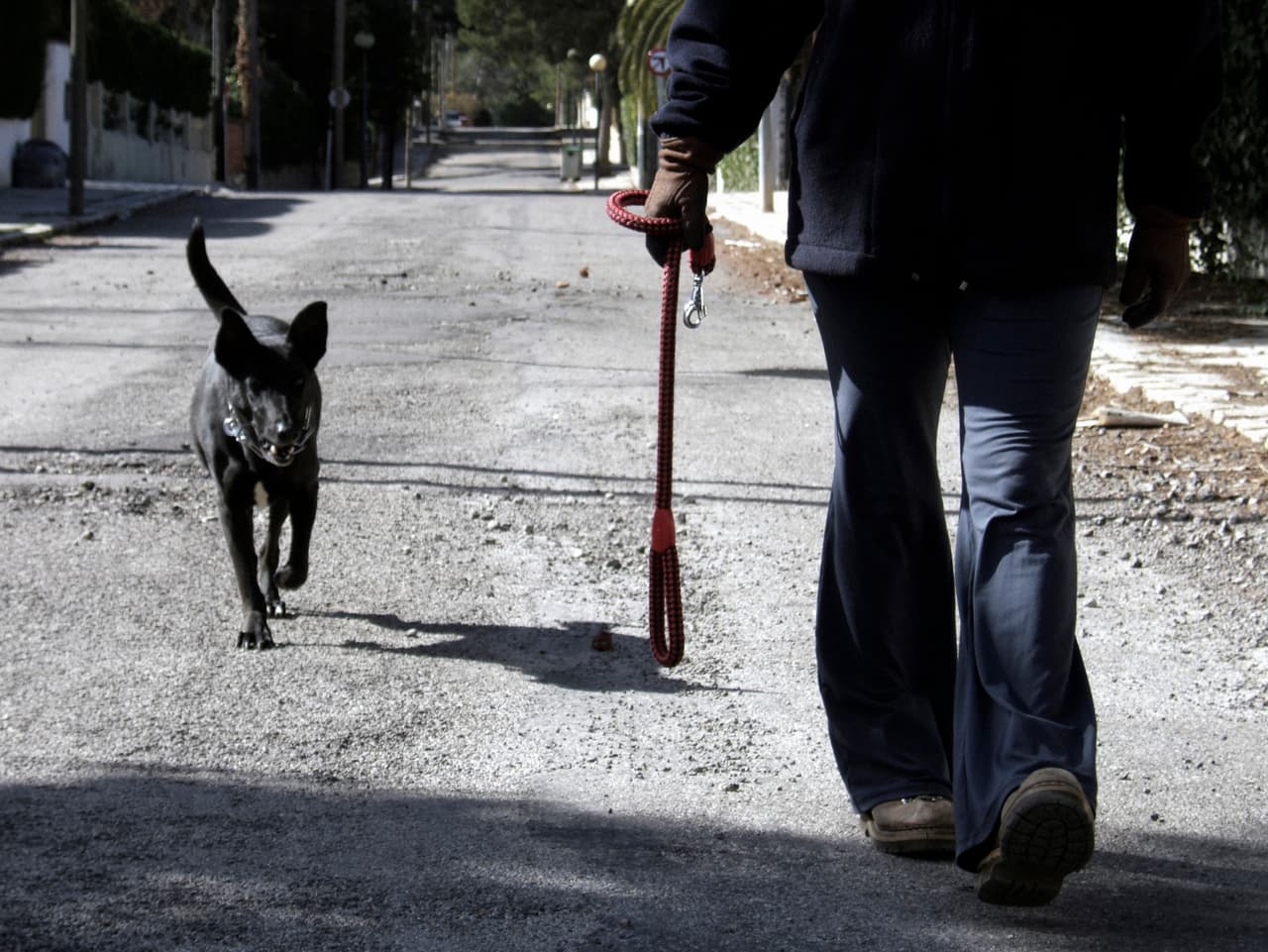 Vigila tu alrededor, procurando que todo esté bien y te encuentres a salvo.