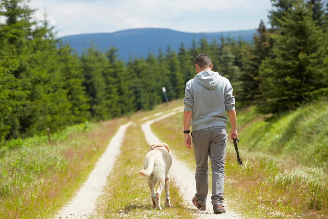 Él cree que es parte de tu manada, por la manera en que lo tratas.