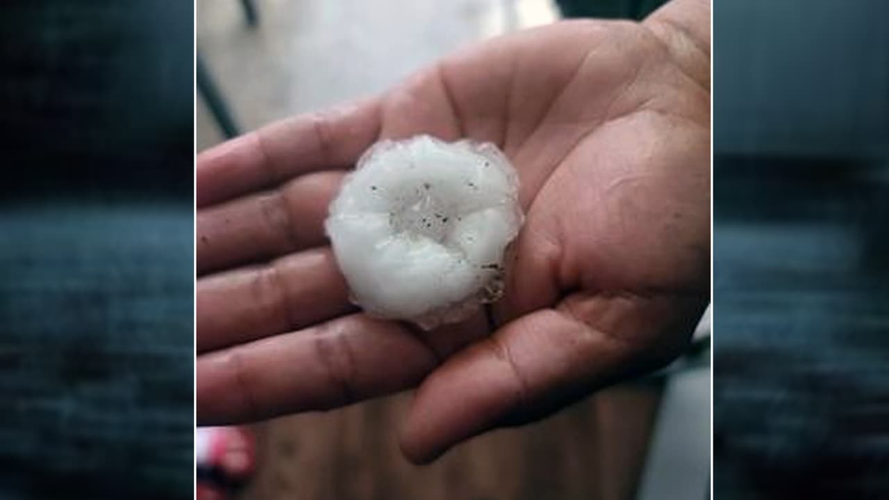 Mario Flores nos comparte una fotografía del 
<b>granizo que cayó en parte de Lewisville, prácticamente del tamaño de un durazno</b>. Puedes compartir tus imágenes y videos a través de 
<b><a href="https://www.univision.com/local/dallas-kuvn/reportalo" target="_blank">nuestra plataforma Repórtalo, es gratis, sencillo y rápido. Solo haz clic aquí</a></b>.