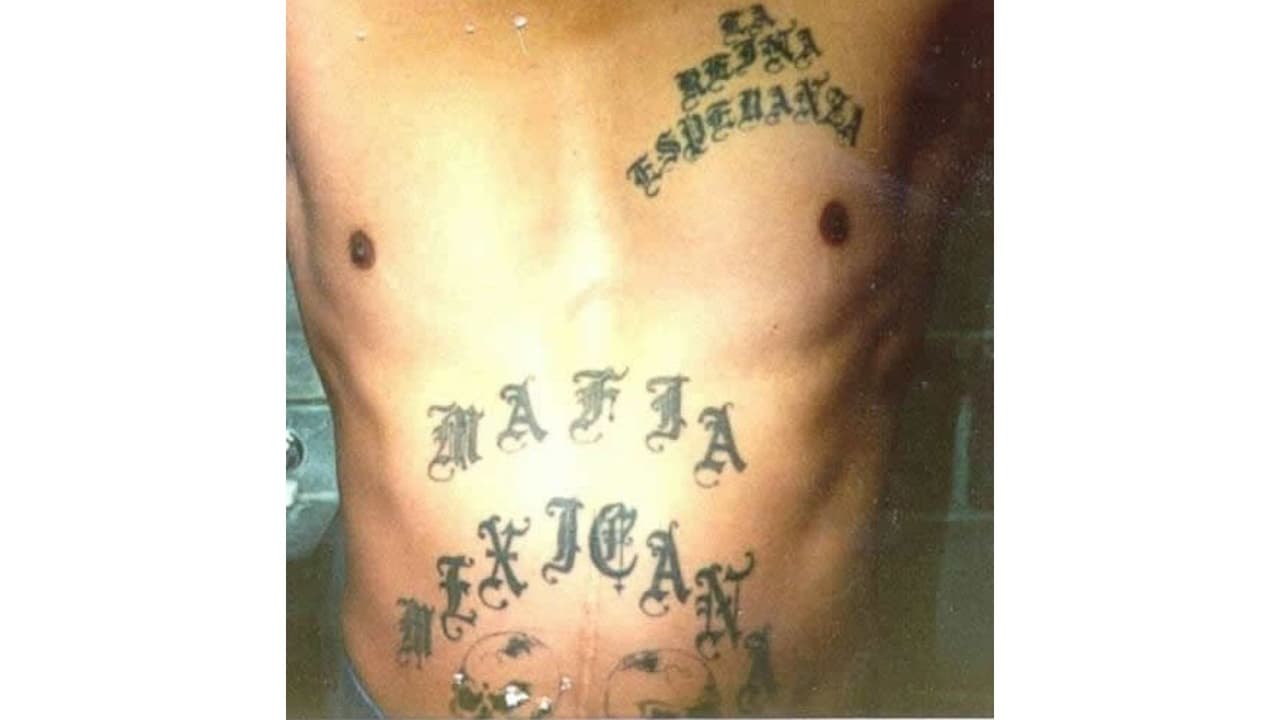 El Departamento de Justicia de EEUU (DOJ por sus siglas en inglés) la considera la 
<b>“pandilla de pandillas”</b> o “la más antigua y poderosa” al controlar actualmente a otras bandas criminales de hispanos. El DOJ comenta que 
<b>la Mexican Mafia no tiene un sólo líder </b>y se estima que unas 1,000 personas podrían controlar la organización.