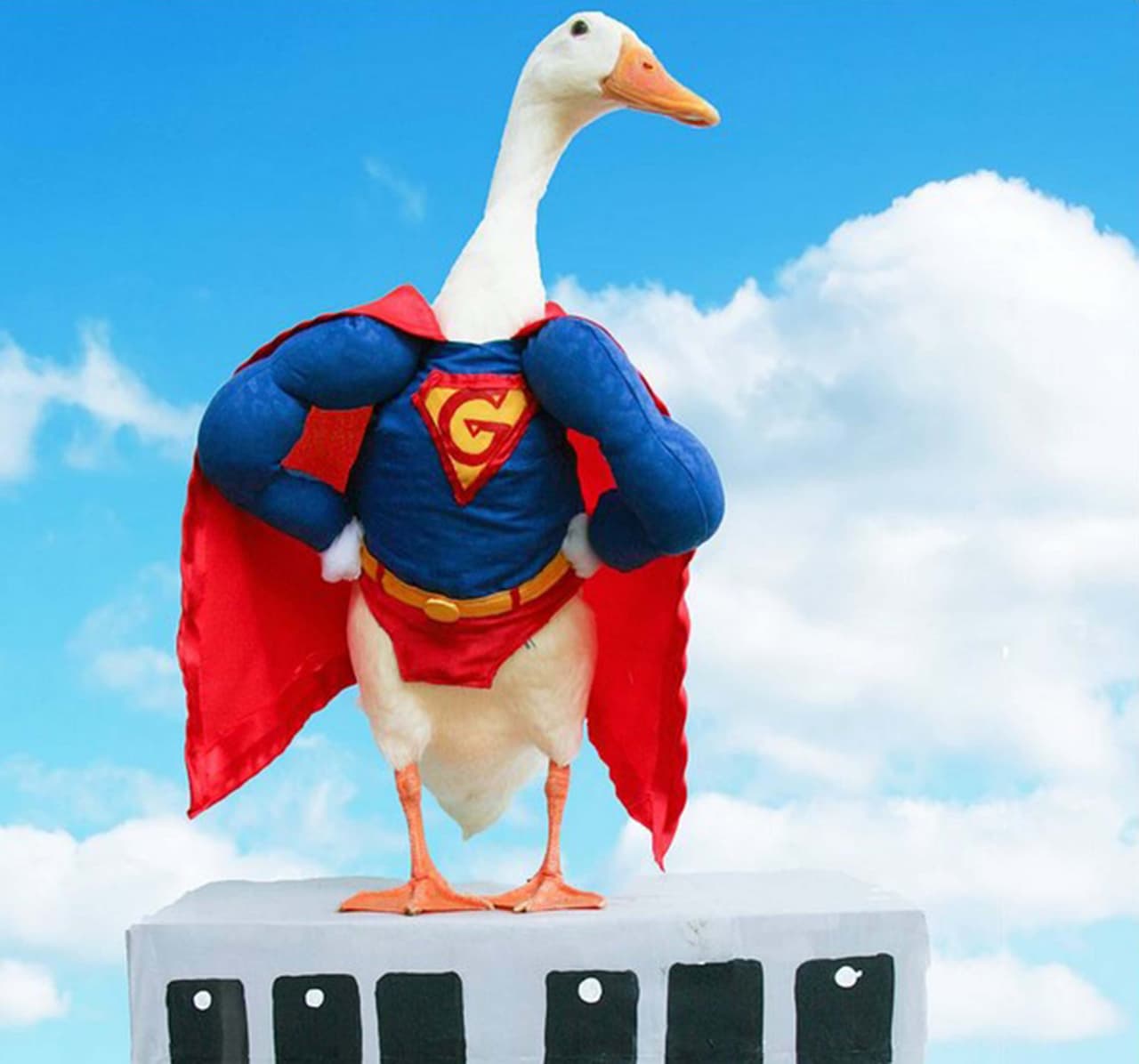 ¿Qué tal su traje de Superpato?