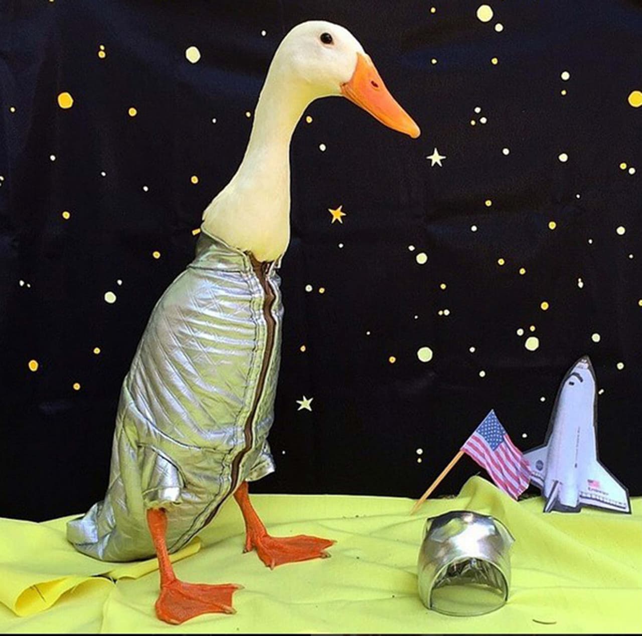 Este patito será uno de los más divertidos en cualquier fiesta de Halloween.