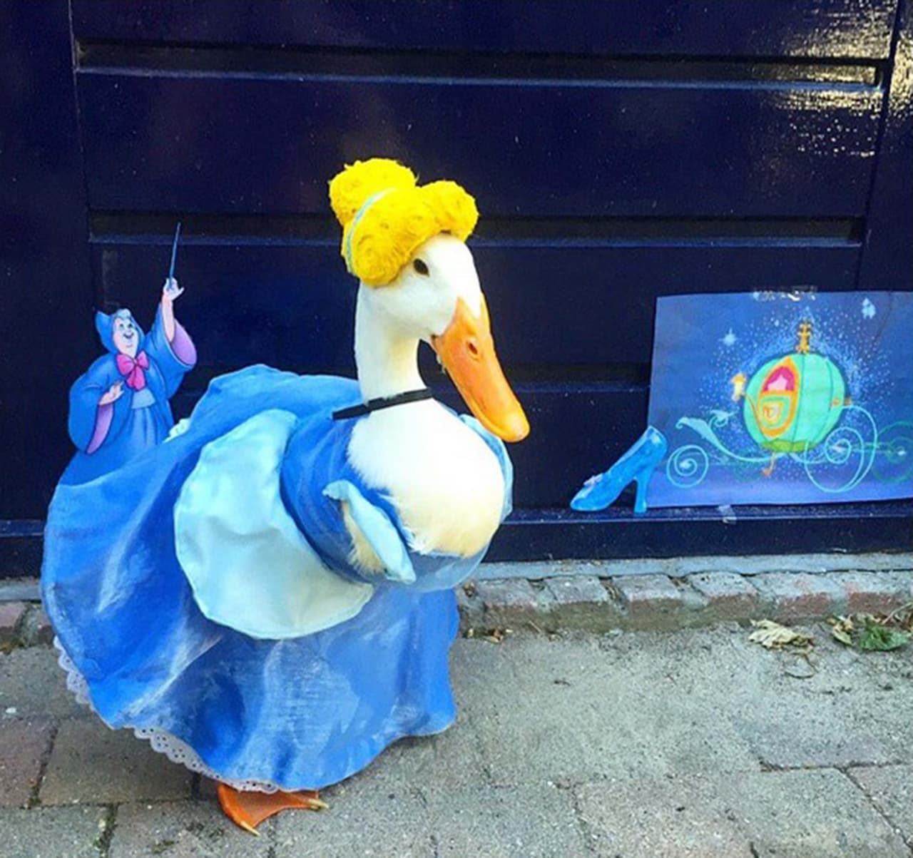 Su nombre es Guus y vive en Holanda.