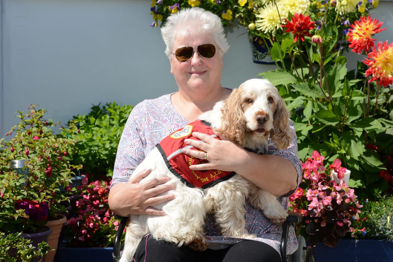 Este dulce can se llevó a casa un premio por hacer algo increíble.